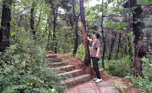 1503557069943519.png image.png