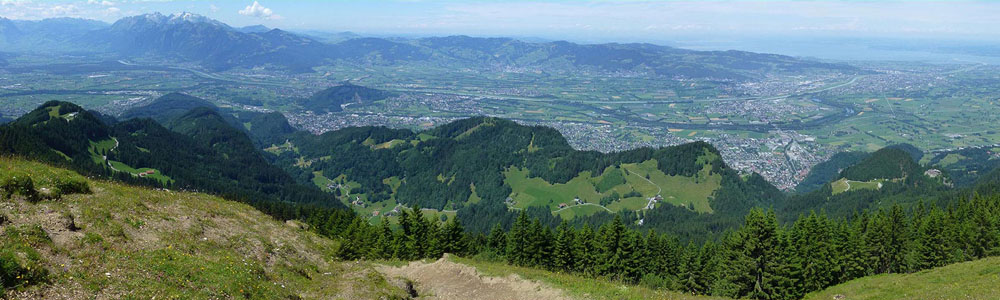 1526023165137428.jpg senlin.jpg